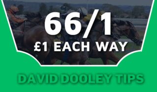 £1 each way at 66/1