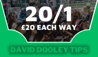 £20 each way at 20/1