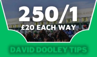 £20 each way at 250/1