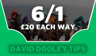 £20 each way at 6/1