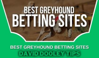 Best Greyhound Betting Sites
