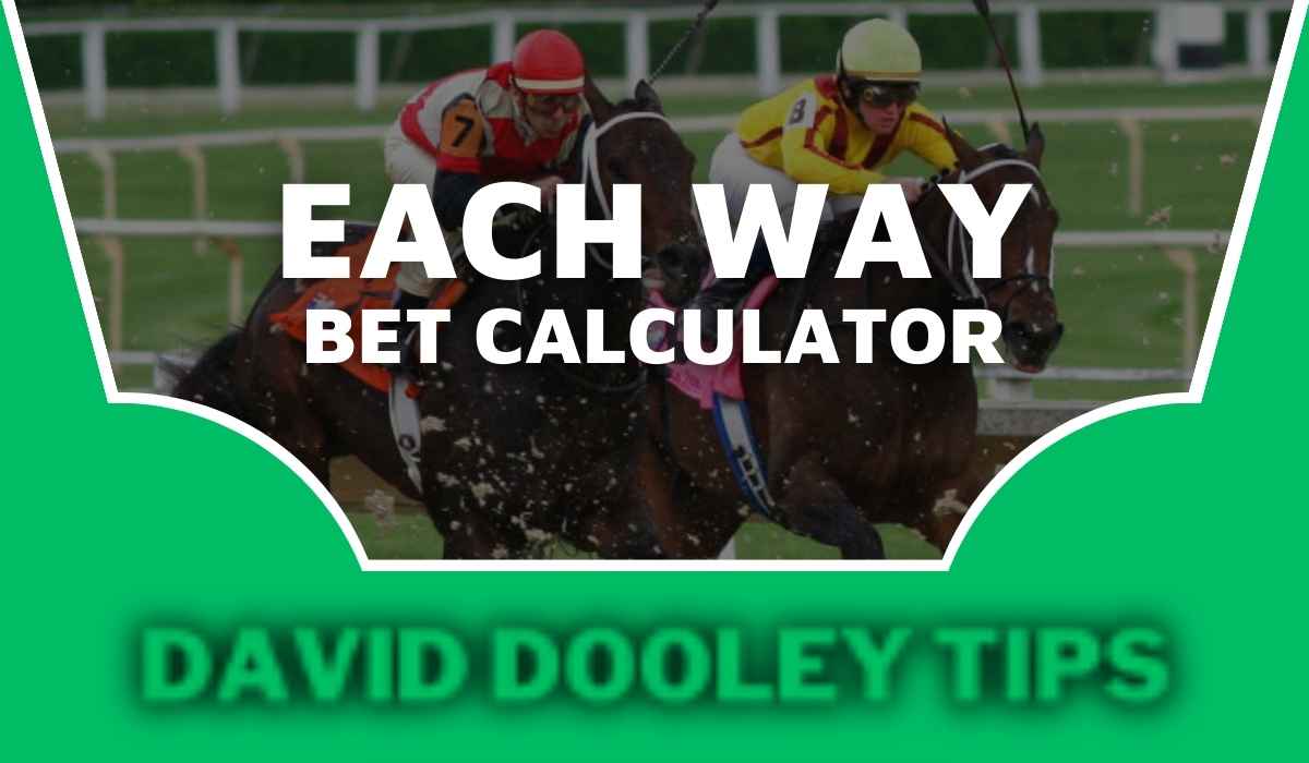 Each Way Bet Calculator