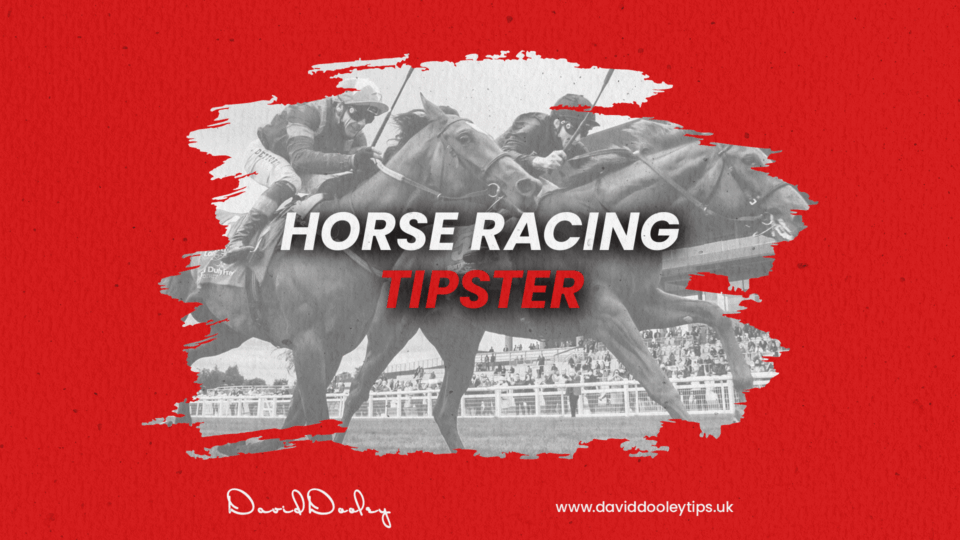 Horse Racing Tipster