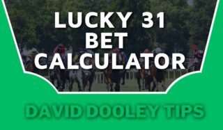 Lucky 31 Bet Calculator