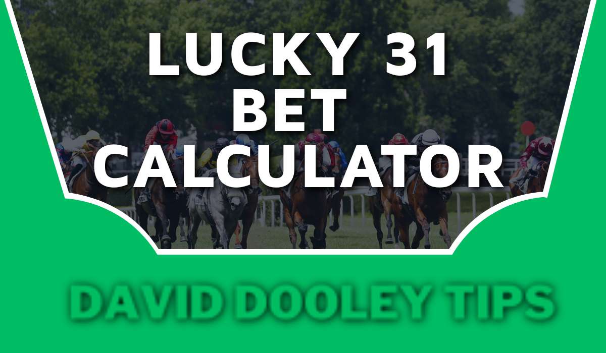 Lucky 31 Bet Calculator