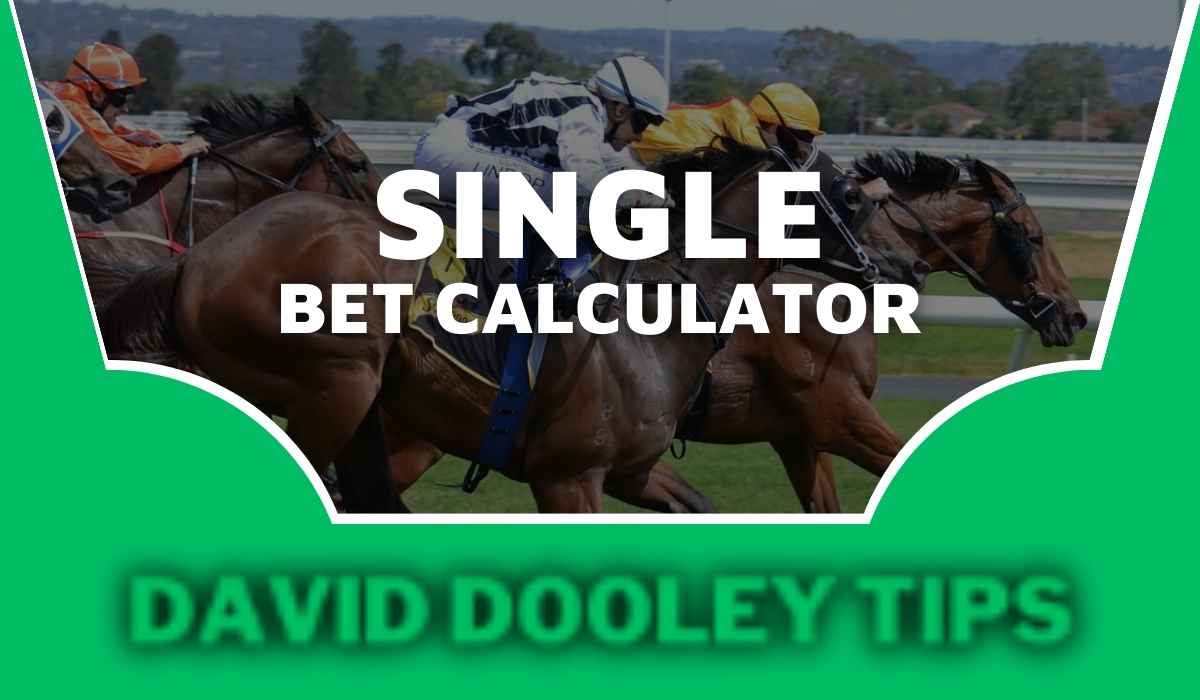 Single Bet Calculator