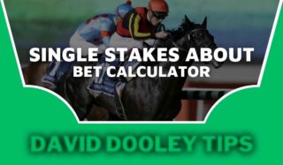 Single Stakes About Bet Calculator