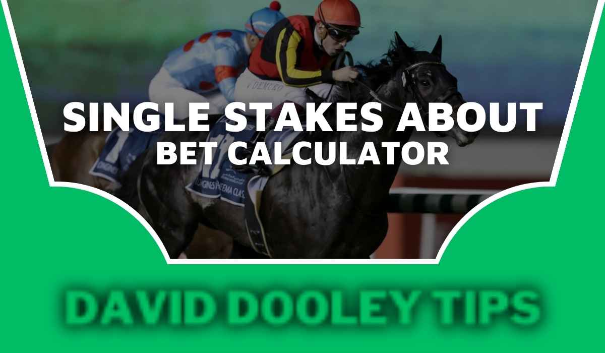 Single Stakes About Bet Calculator