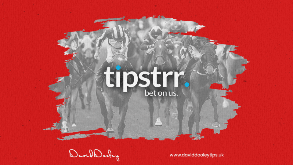 Tipstrr Tipster