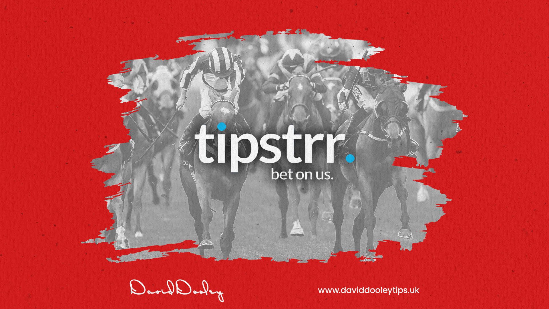 Tipstrr Tipster