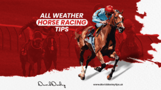 All Weather Horse Racing Tips
