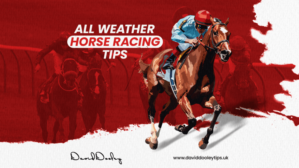 All weather horse racing tips