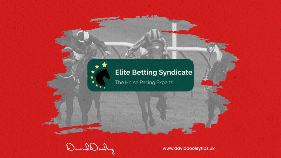 elite betting syndicate