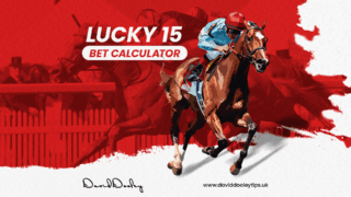 Lucky 15 Bet Calculator