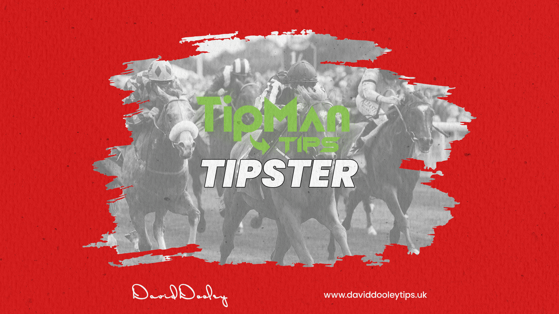 tipsman tips tipster