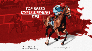 Top Speed Horse Racing Tips